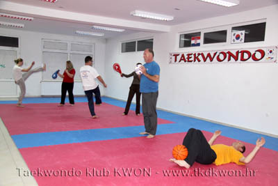taekwondo kwon training